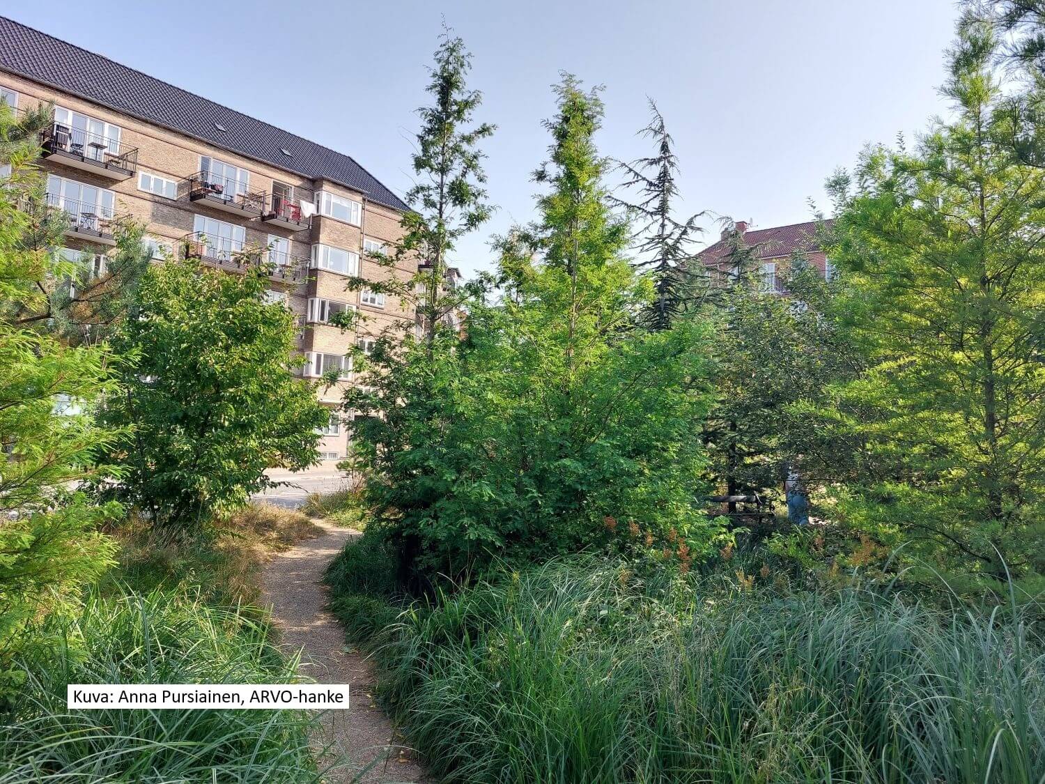 Luonnon monimuotoisuus, Anna Pursiainen