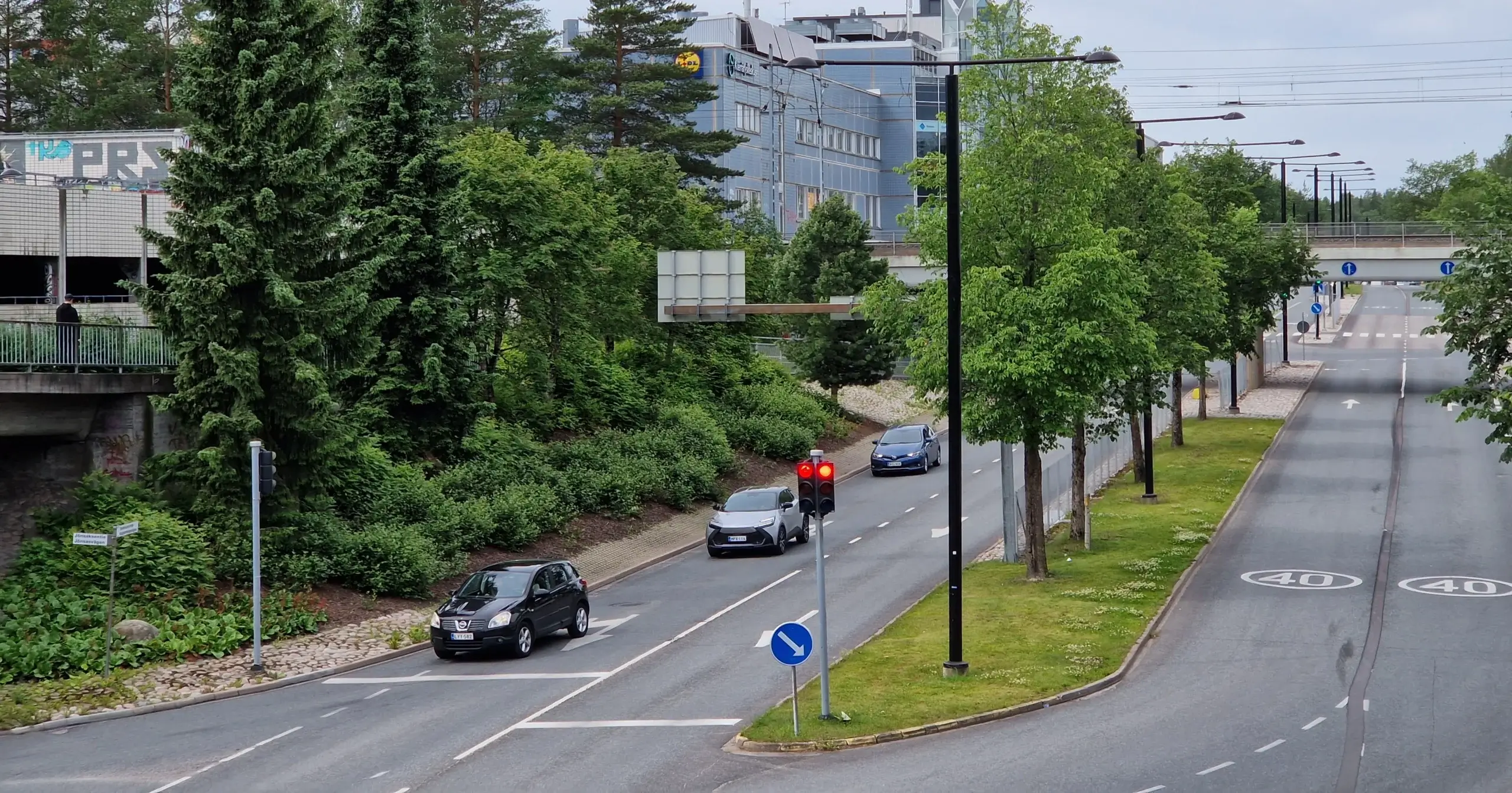 Luontotyyppi Katukasvillisuus_Vantaa_Johanna Huttunen