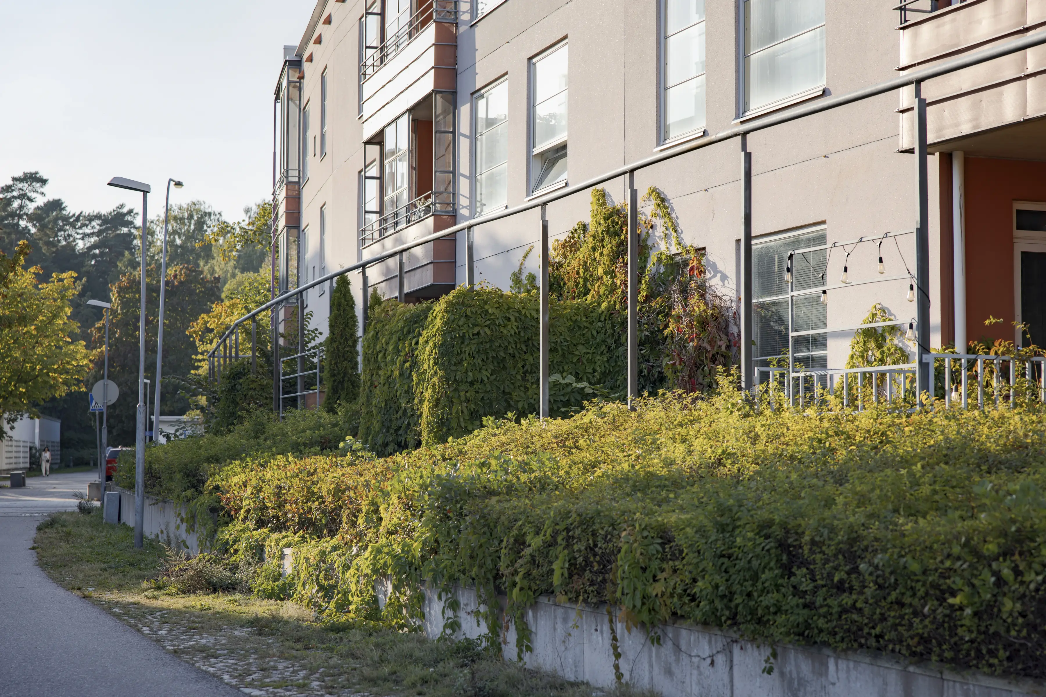 Luontotyyppi Maanvarainen piha_Maija_Astikainen